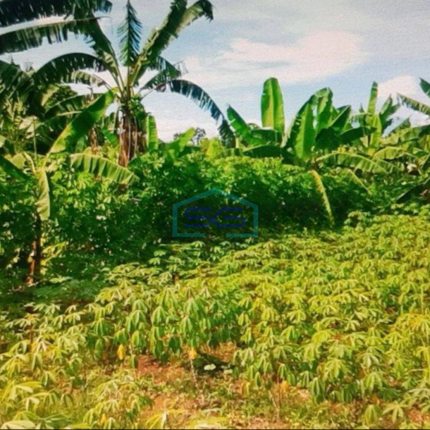 Dijual Tanah di Bogor Sangat Strategis Dipinggir Jalan LT 18872m2-2