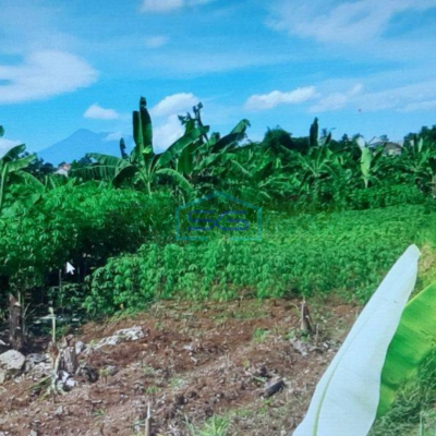 Dijual Tanah di Bogor Sangat Strategis Dipinggir Jalan LT 18872m2
