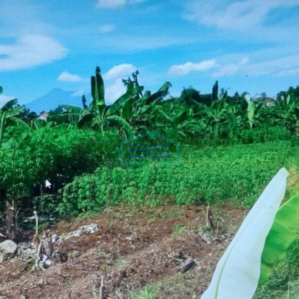Dijual Tanah di Bogor Sangat Strategis Dipinggir Jalan LT 18872m2-1
