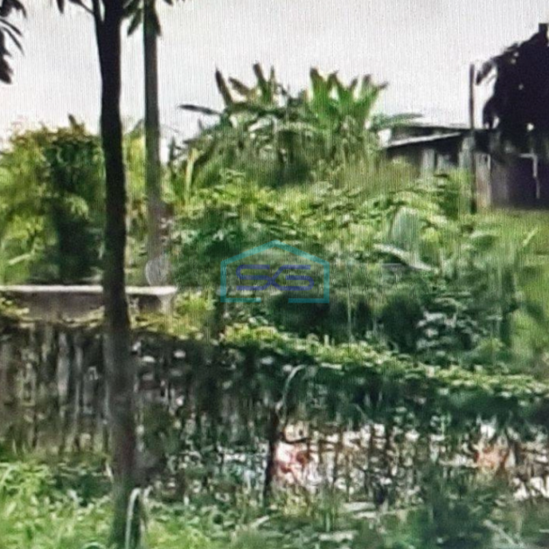 Dijual Tanah Dan Bangunan Dipinggir Jalan Soleh Iskandar Bogor LT 18872m2-3