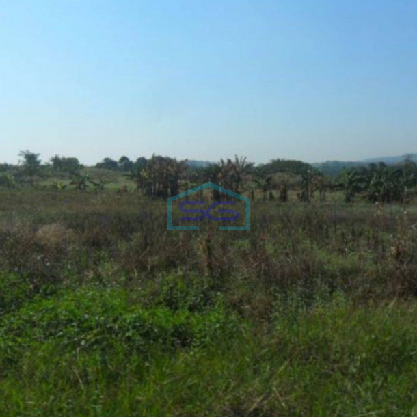 Dijual Tanah Di Desa Nolokerto Kaliwungu Kendal Sangat Strategis Dipinggir Tol Semaranga LT 1165911-3