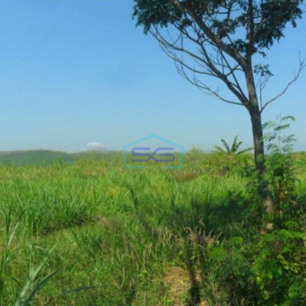 Dijual Tanah Di Desa Nolokerto Kaliwungu Kendal Sangat Strategis Dipinggir Tol Semaranga LT 1165911-2