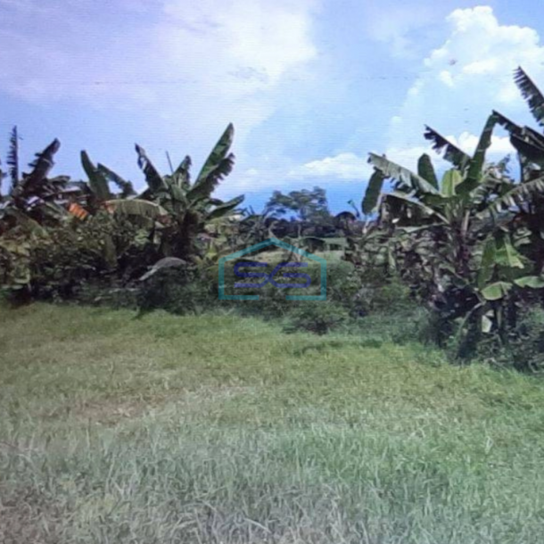 Dijual Tanah Lokasi Strategis Pinggir Jalan Pasuruan LT 280800m2-2