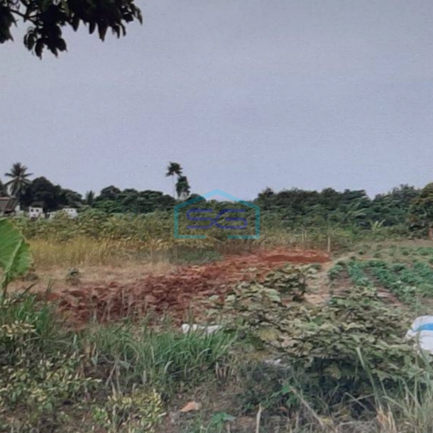 Dijual Tanah Dipinggir Jalan Akses Kontainer dan truk Di Bogor LT 5000m2-1