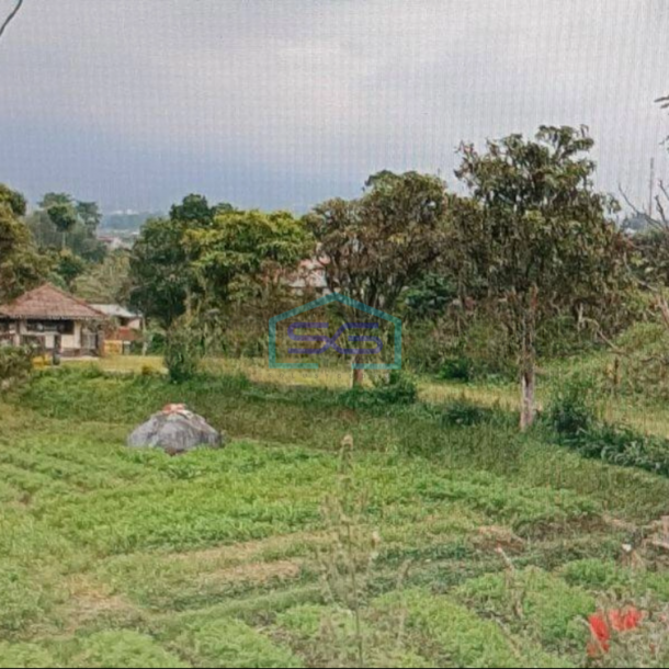 Dijual Tanah Lokasi Strategis Dpinggir Jalan Raya Cianjur LT 15391m2-3