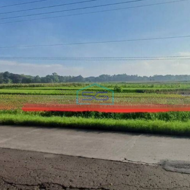 Dijual Cepat Tanah Lahan Zona Industri,Lokasi Sumberlawang Sragen LT 150000m2-1