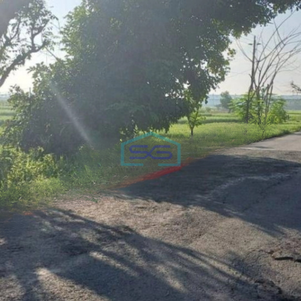 Dijual Cepat Tanah Lahan Zona Industri,Lokasi Sumberlawang Sragen LT 150000m2-2