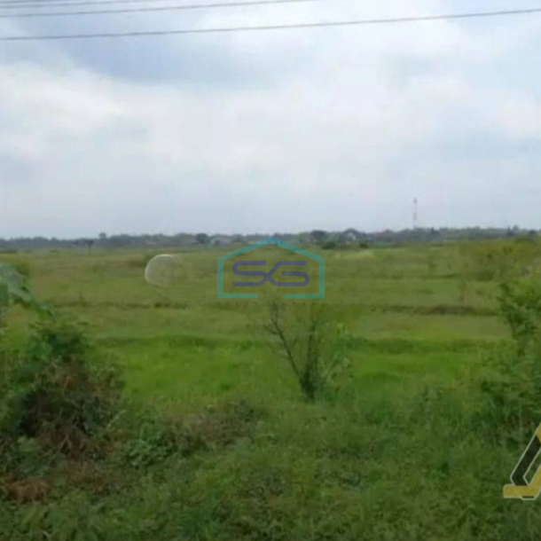Dijual Tanah Zona Industri Lokasi Strategis di Masaran Sragen Luas 7545m2-1