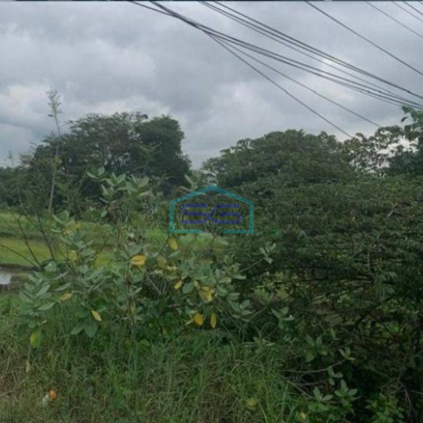Dijual Cepat Tanah Zona Industri di Lokasi Ceper Klaten Luas 10 Ha-2