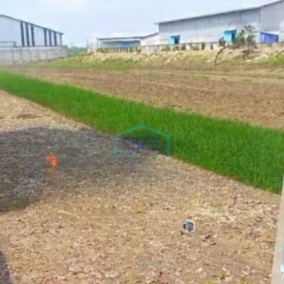 Dijual Tanah Industri Strategis Lokasi Mranggen Demak Luas 4638m2