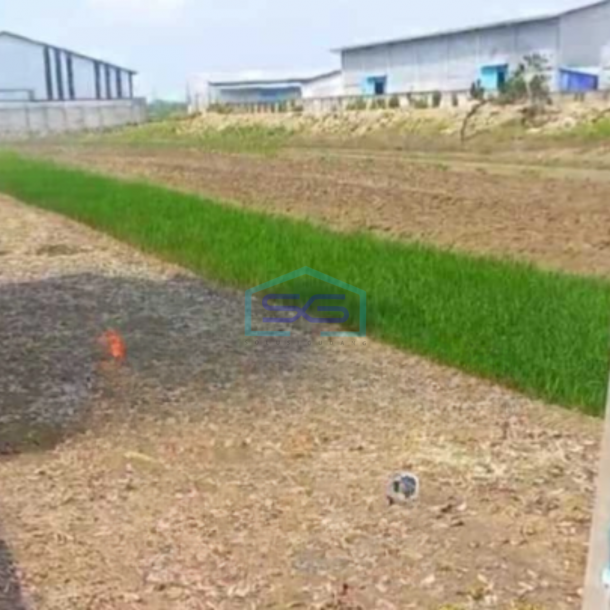 Dijual Tanah Industri Strategis Lokasi Mranggen Demak Luas 4638m2-2