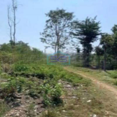 Dijual Tanah Zona Kuning Strategis Bendosari, Sukoharjo luas 49777m2