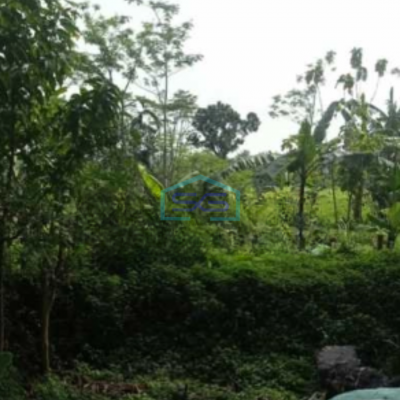 Dijual Tanah Lahan industri Karangjati Semarang 120000m2