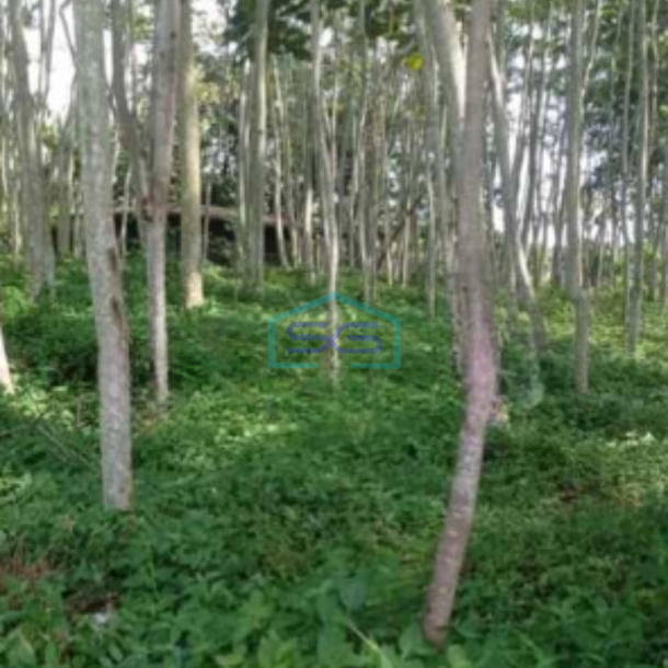 Dijual Tanah Lahan industri Karangjati Semarang 120000m2-2