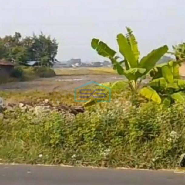 Dijual Tanah Industri Lokasi di Masaran Sragen Luas 4 Ha-1