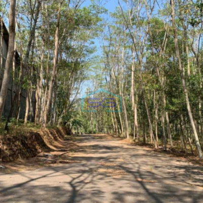 Dijual Tanah Strategis Kawasan Industri Lokasi Sukoharjo Luas 11 Ha-2