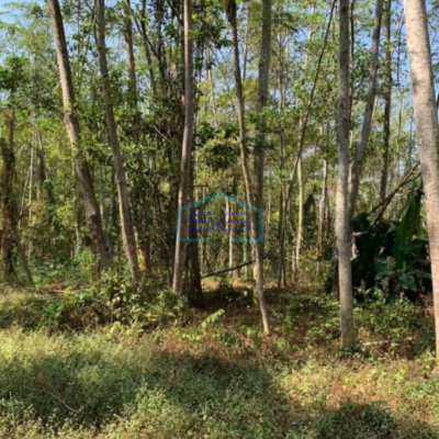 Dijual Tanah Strategis Kawasan Industri Lokasi Sukoharjo Luas 11 Ha