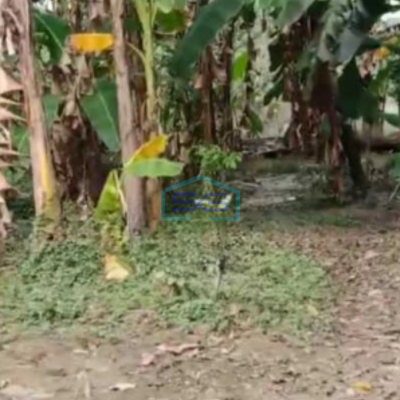 Dijual Tanah Sangat Strategis Industri Tegowanu Grobogan Luas 7 Ha-2