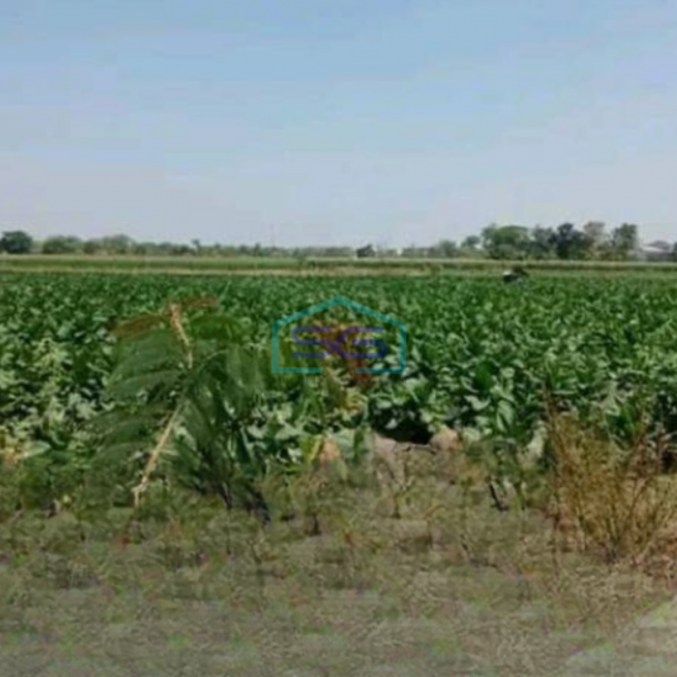 Dijual Tanah Zona Industri Lokasi Klaten Luas 12 Ha Strategis-1