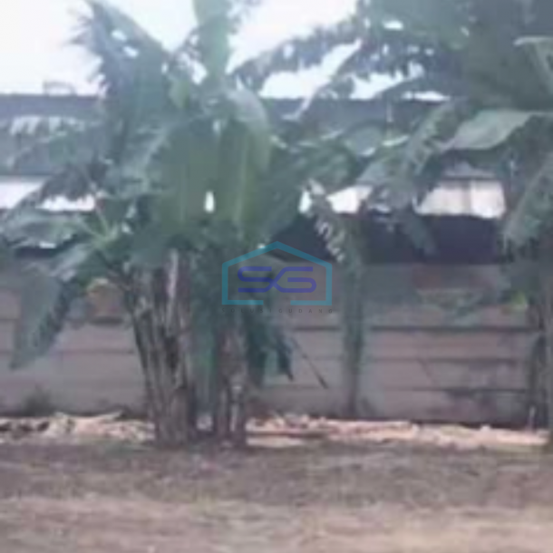 Dijual Tanah Strategis Industri Lokasi Karangawen Demak Luas 10 Hektar-3