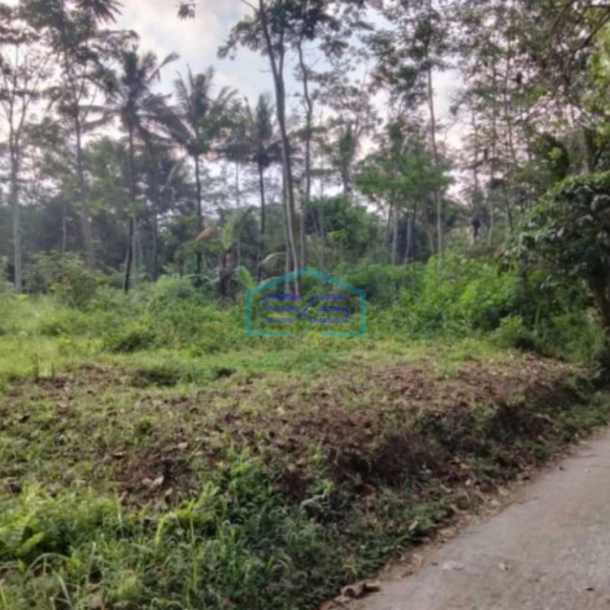 Dijual Tanah Strategis Industri Lokasi Noborejo Salatiga Luas 8,7 Hektar-2