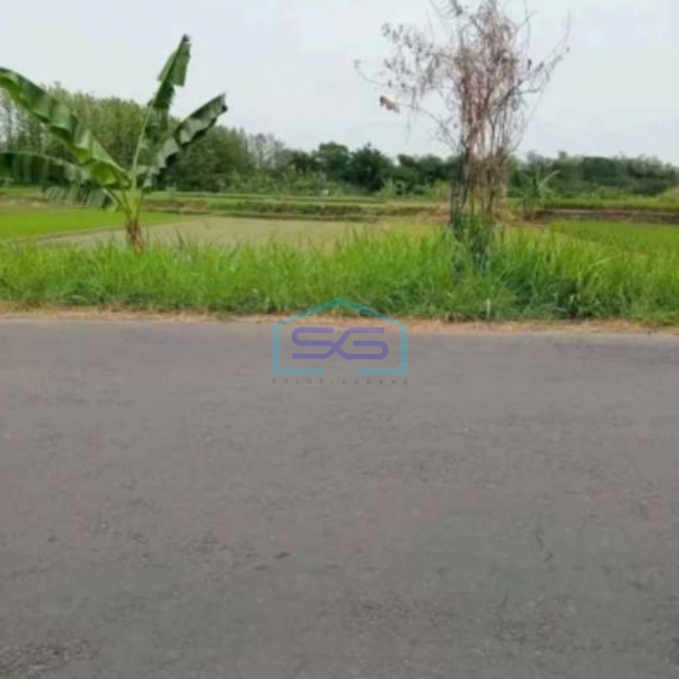 Dijual Tanah industri Lokasi Pedan Klaten Luas 8000m2-2