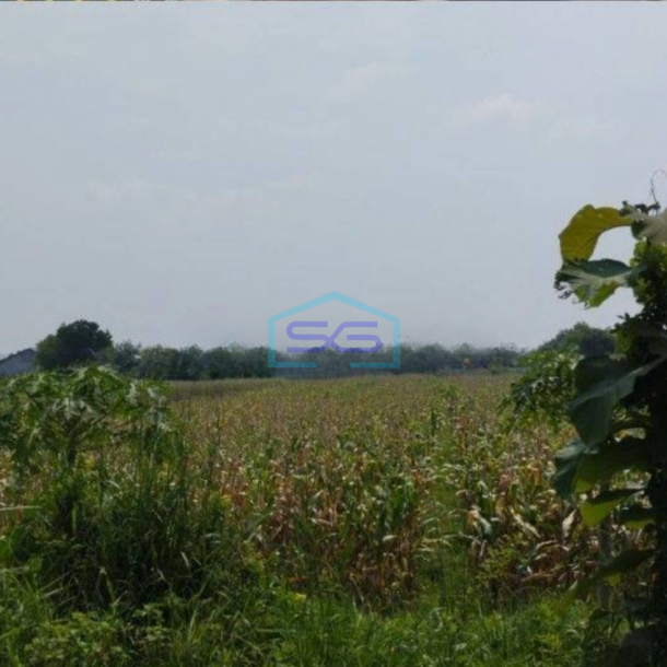 Dijual Cepat Tanah Zona Industri Lokasi Ceper Klaten Luas 4,5 Ha-1