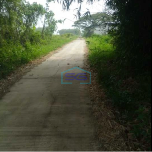 Dijual Tanah lahan industri lokasi Pedan Klaten luas 6685m2-1