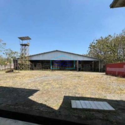 Dijual Gudang Luas 11.000m² di Sragen Akses Kontainer & Cocok untuk Berbagai Industri