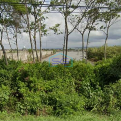 Dijual Tanah Strategis Industri Lokasi Kaliwungu Kendal Luas 2 Hektar