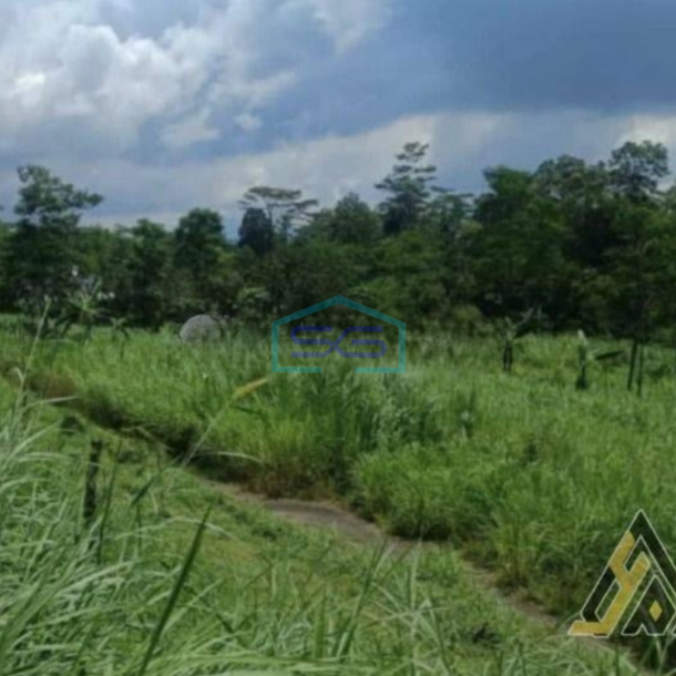 Dijual Cepat Tanah Zona Industri Lokasi Tengaran Semarang Luas 10 Ha-1