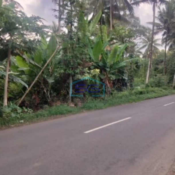 Dijual Tanah Lahan Strategis Kawasan Industri Lokasi Tengaran Semarang 5 Ha-3