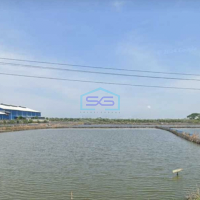 Dijual Tanah Lahan Sangat Strategis Industri Lokasi Kaliwung Kendal Luas 6 Ha