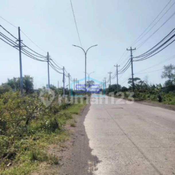 Dijual Tanah Lahan Strategis Industri Lokasi Kaliwungu Kendal Luas 3,9 Hektar-1