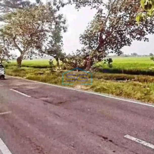 Dijual Tanah Strategis Industri Lokasi Gondang Sragen LT 12 Ha-1