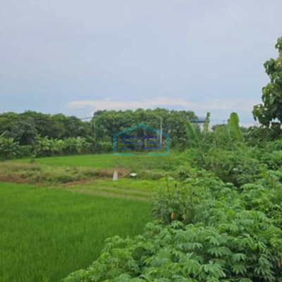 Dijual Gudang Jaten Karanganyar Luas Tanah 10000m2