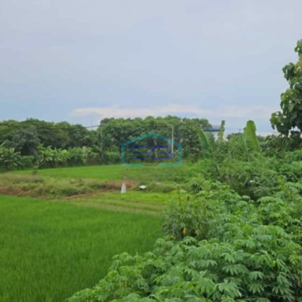 Dijual Gudang Jaten Karanganyar Luas Tanah 10000m2-3