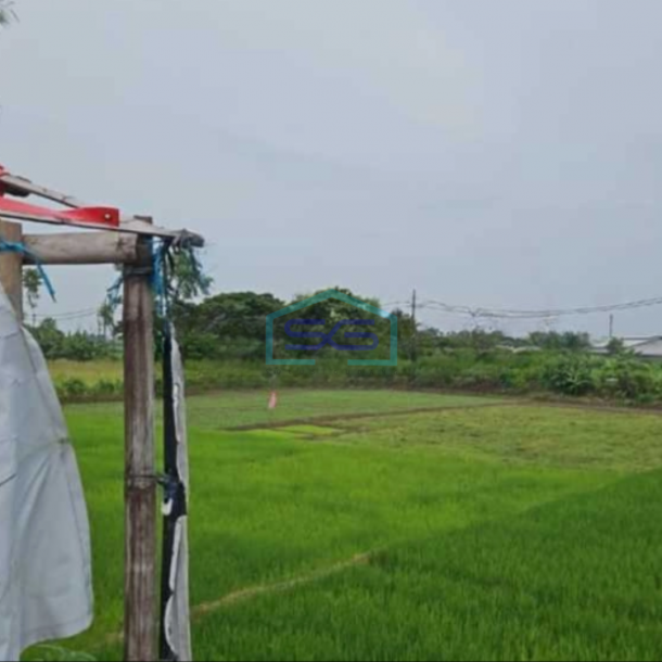 Dijual Gudang Jaten Karanganyar Luas Tanah 10000m2-2