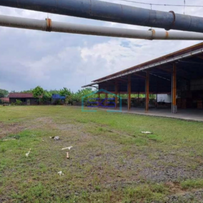 Dijual Gudang Aset Industri Lengkap 2,1 Hektar di Kendal Siap Operasional Legalitas Aman
