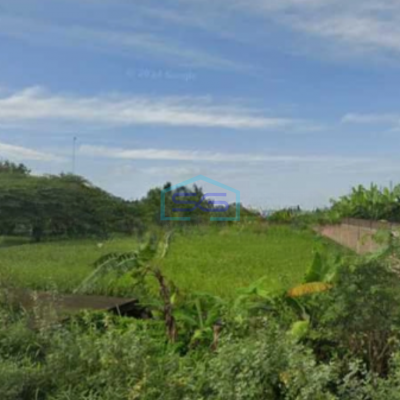 Dijual Tanah Lahan Strategis Industri Lokasi Masaran Sragen Luas 2 Ha