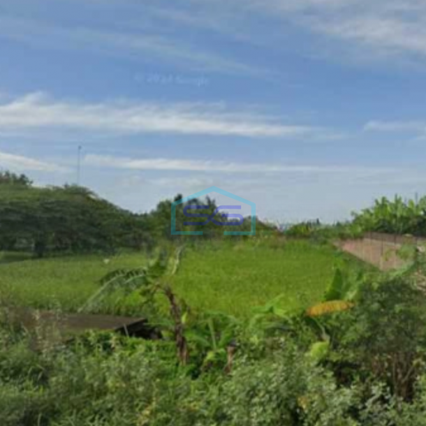 Dijual Tanah Lahan Strategis Industri Lokasi Masaran Sragen Luas 2 Ha-3