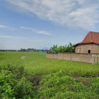 Dijual Tanah Lahan Strategis Industri Lokasi Masaran Sragen Luas 2 Ha