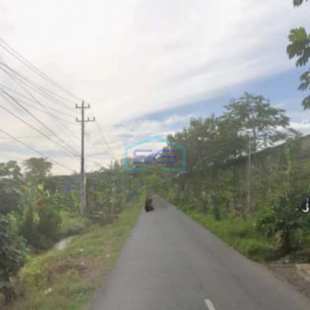 Dijual Tanah Lahan Strategis Industri Lokasi Masaran Sragen Luas 2 Ha-1