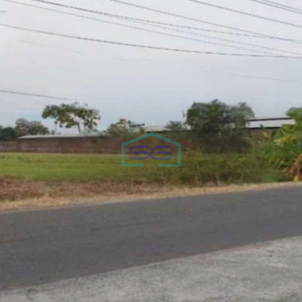 Dijual tanah lahan strategis lokasi Juwiring Klaten luas 17.000m2-1
