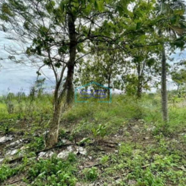 Dijual tanah lahan industri lokasi sumberlawang sragen luas 30.750m-2