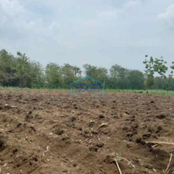 Dijual Tanah Zona Industri Strategis Tangen Sragen Luas 25 Ha-2