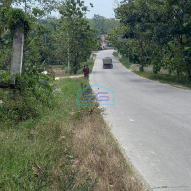 Dijual Tanah Industri Lokasi Mondokan Sragen Luas 10 Ha-2