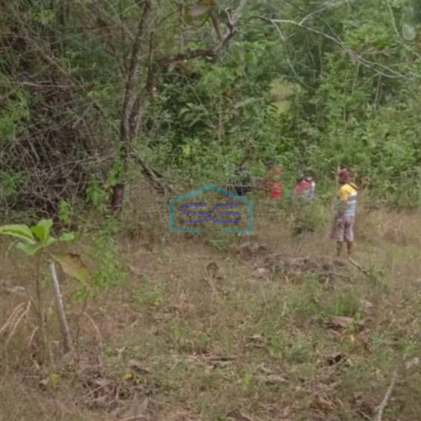 Dijual tanah Strategis Industri Lokasi Wuryantoro Wonogiri Luas 125 Ha-1