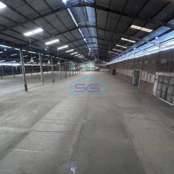 Disewakan Gudang dan Office Lokasi Ngaliyan Semarang Luas 1,1 Hektar-3