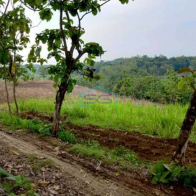 Dijual Tanah Industri Lokasi Sumberlawang Sragen Jawa Tengah Luas 65870m2